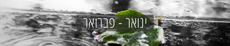 מה אפשר לשתול בינואר פברואר? כנסו לכתבה וגלו