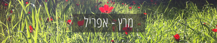 מה לשתול ולזרוע באביב? חודש מרץ אפריל, מדריך זריעה ושתילה מפורט