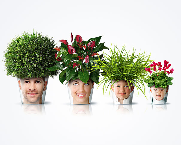 עציץ עם פנים של אנשים ושיער צמחים