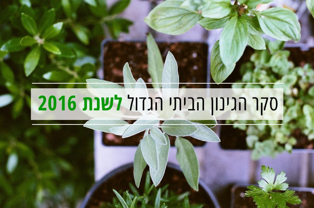 סקר גינון לסיכום שנת 2015