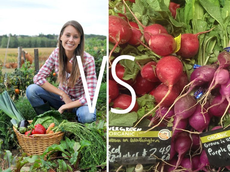 גידול ירקות בבית VS רכישה בסופר: 5 סיבות מעולות לגדל את המזון בעצמך