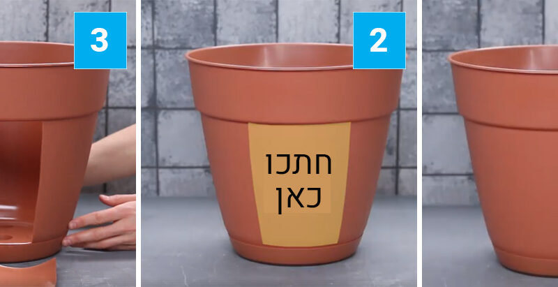 נקי, פשוט וגאוני! מדריך עשה זאת בעצמך לגידול תפוחי אדמה גם בבית ללא גינה