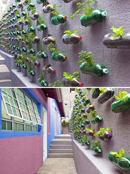 קיר צמחים ירוק מבקבוקים
