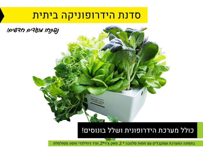 סדנת הידרופוניקה ביתית למתחילים מערכת הידרופונית ביתית על רקע לבן, מכילה חסות, תרד ופאק צ'וי